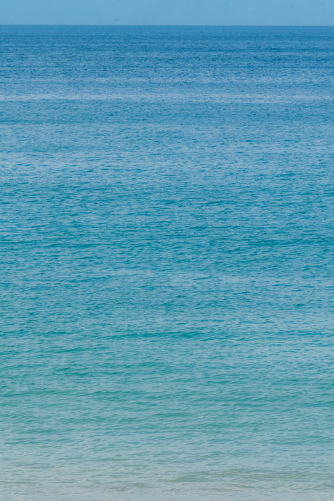 Ocean Wall Art