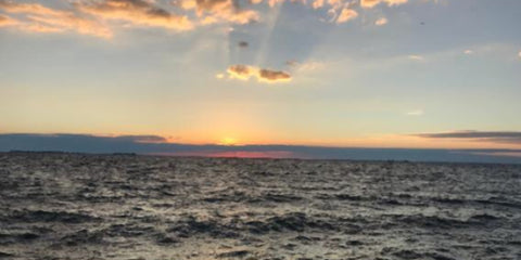 Ocean Sunset Wall Art