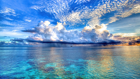 Ocean Vista Wall Art