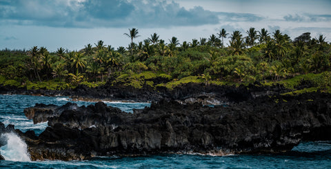 Ocean and Lava Rock Wall Art
