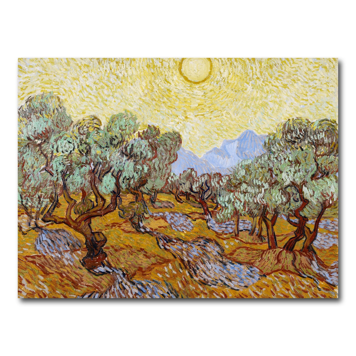AUTO-MOCKUP WHITE | Olive Trees | 1 Piece | Gallery Wrap Canvas | group=4x3