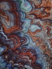 Out of this World Wall Art
