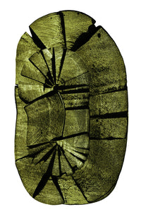 Oval Stump Wall Art