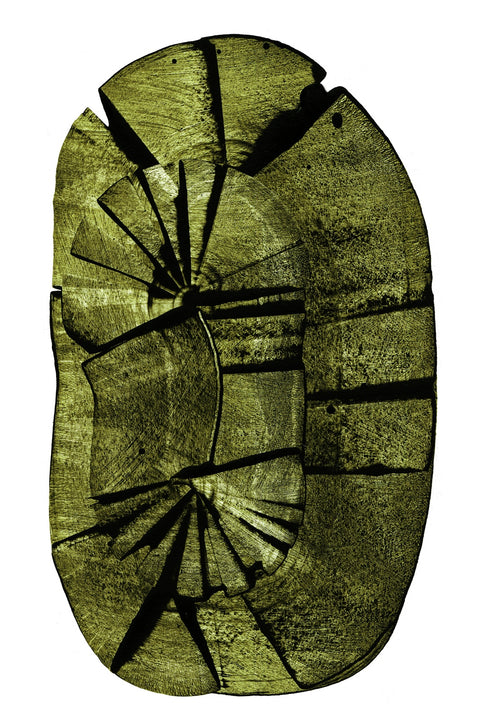 Oval Stump Wall Art