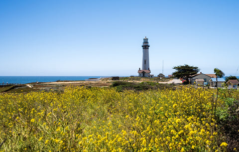 Pacific Coast Hwy Lighthouse Wall Art