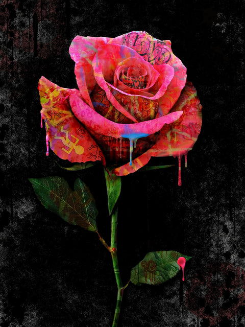 Paint Drip Rose Wall Art