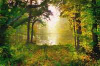 Painted Misty Morning Wall Art