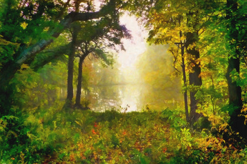 Painted Misty Morning Wall Art