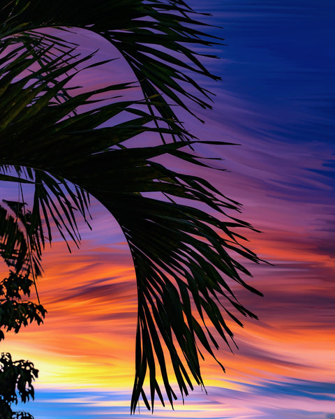 Painted Palm Wall Art