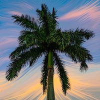 Painted Palm Tree Wall Art