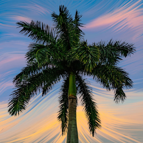 Painted Palm Tree Wall Art
