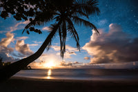 Paradise at Night Wall Art