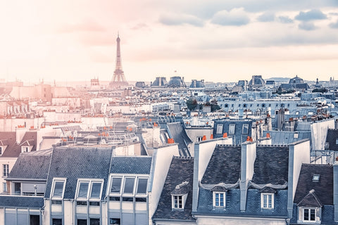 Paris Roofs Wall Art