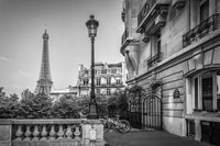 Parisian Charm Grayscale Wall Art