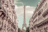 Parisian Flair Wall Art
