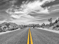 Park Boulevard with Joshua Trees Wall Art