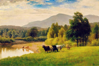 Pasture lands Wall Art