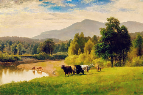 Pasture lands Wall Art