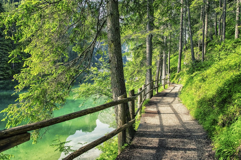 Path By The Lake Wall Art