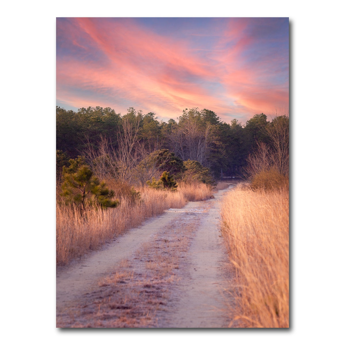AUTO-MOCKUP WHITE | Path to the Cranberries | 1 Piece | Gallery Wrap Canvas | group=3x4
