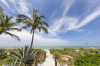 Path to the beach Wall Art
