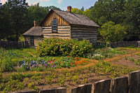 Pedersen House and Garden Wall Art
