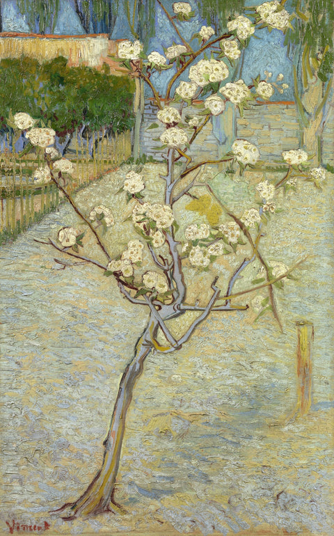 Perenboompje in bloei Wall Art