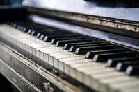 Piano Keys Wall Art