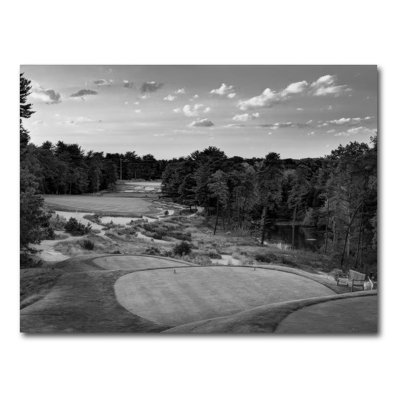 AUTO-MOCKUP WHITE | Pine Valley Grayscale | 1 Piece | Gallery Wrap Canvas | group=4x3