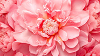 Pink Flower Wall Art