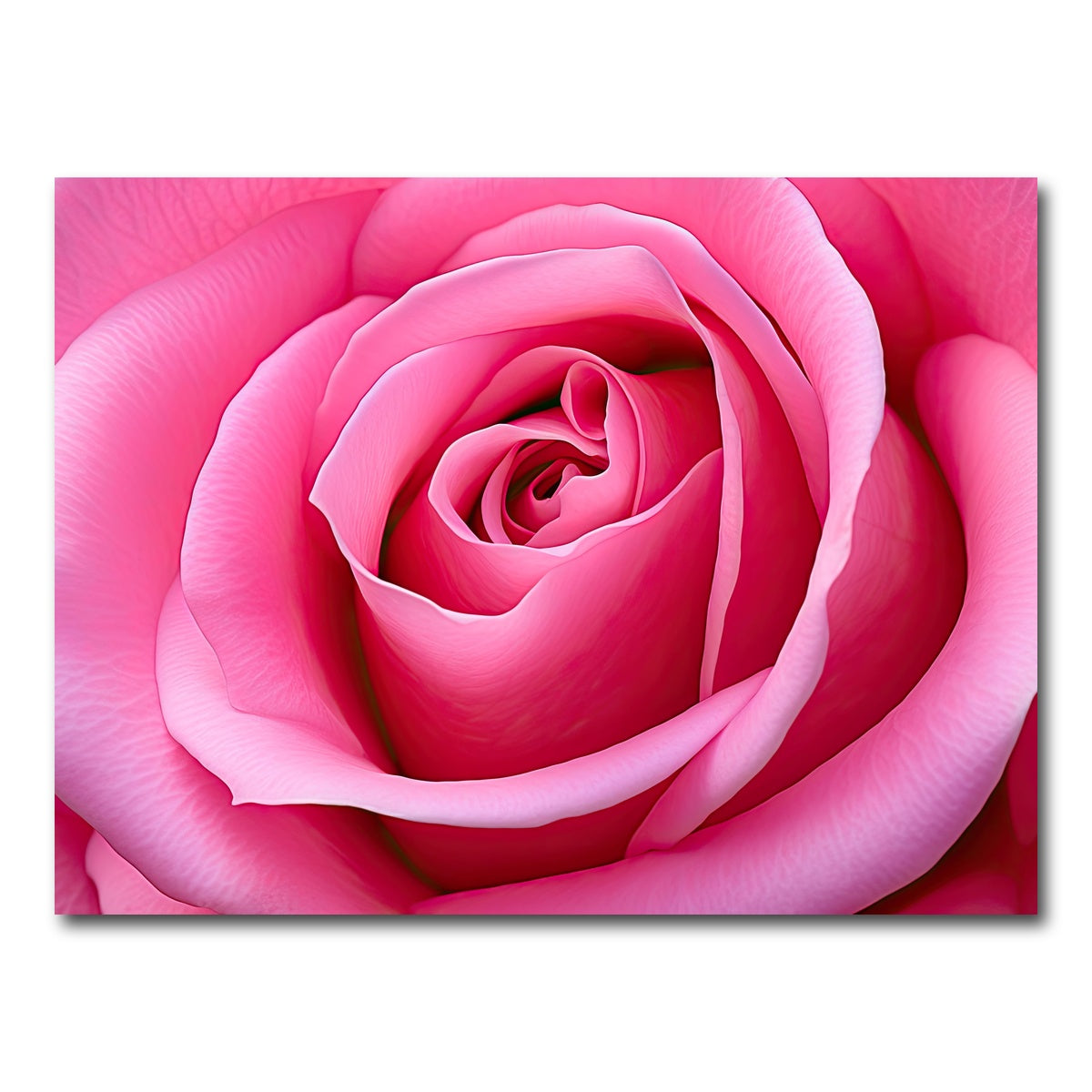 AUTO-MOCKUP WHITE | Pink Rose | 1 Piece | Gallery Wrap Canvas | group=4x3