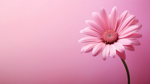 Pink Sunflower Wall Art