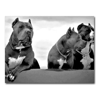 AUTO-MOCKUP WHITE | Pit bulls | 1 Piece | Gallery Wrap Canvas | group=4x3