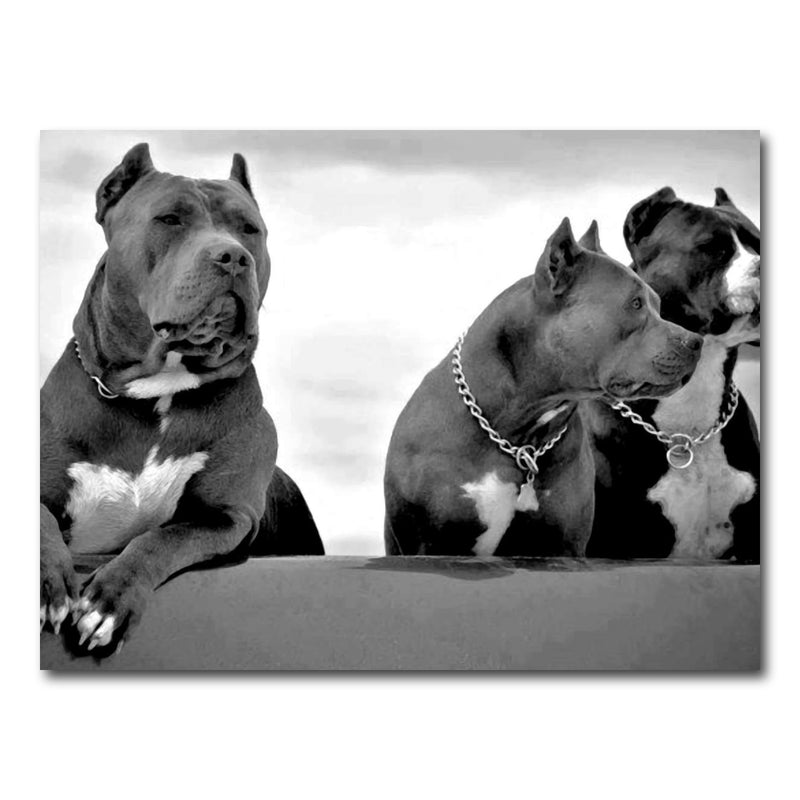 AUTO-MOCKUP WHITE | Pit bulls | 1 Piece | Gallery Wrap Canvas | group=4x3