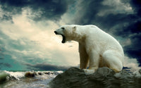 Polar Escape Wall Art