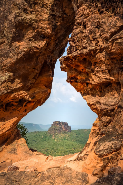 Portal to Cerrado Wall Art