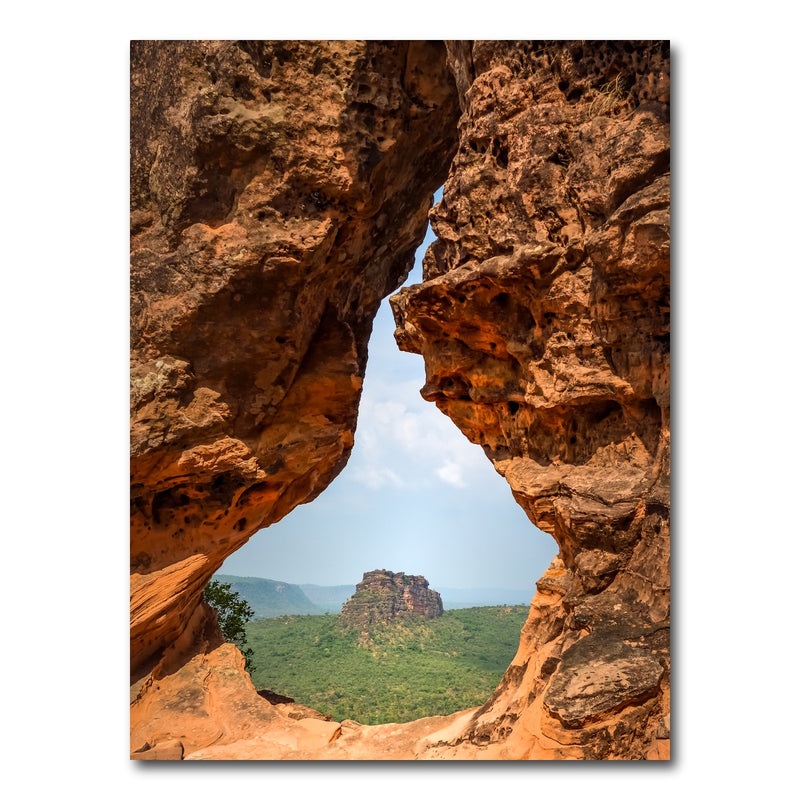 AUTO-MOCKUP WHITE | Portal to Cerrado | 1 Piece | Gallery Wrap Canvas | group=3x4