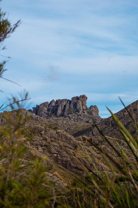 Prateleiras from Itatiaia National Park Wall Art