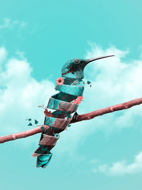 Pretty Bird Wall Art