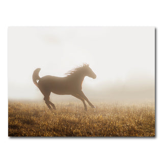 AUTO-MOCKUP WHITE | Quarter Horse Running in Fog | 1 Piece | Gallery Wrap Canvas | group=4x3