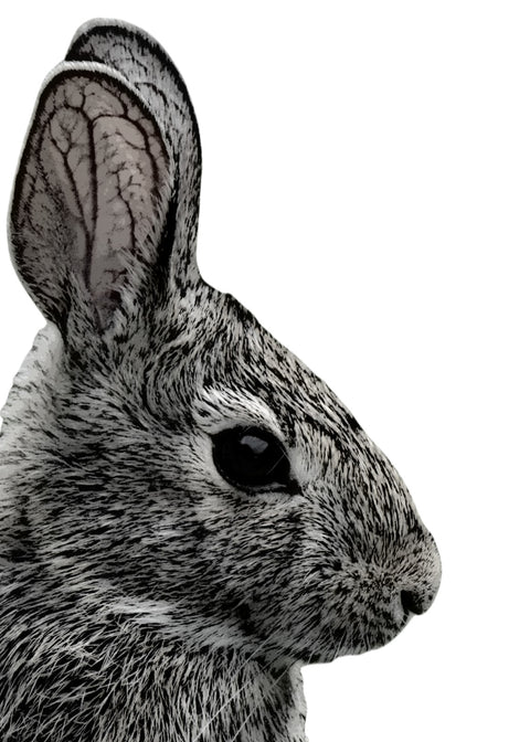 Rabbit Sketch Wall Art