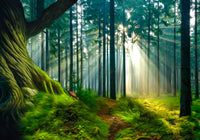 Rays of Wonder Wall Art