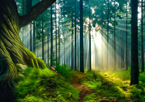 Rays of Wonder Wall Art