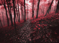 Red Forest Wall Art