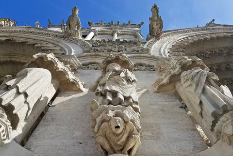 Reims Cathedral Gargoyles Wall Art
