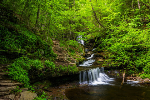 Ricketts Glen State Park Wall Art