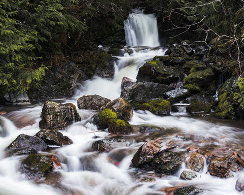 Roadside Waterfalls Wall Art