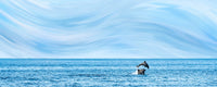 Rollin jumping dolphins Wall Art