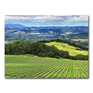 AUTO-MOCKUP WHITE | Rolling hills and vineyards of Sonoma County | 1 Piece | Gallery Wrap Canvas | group=4x3