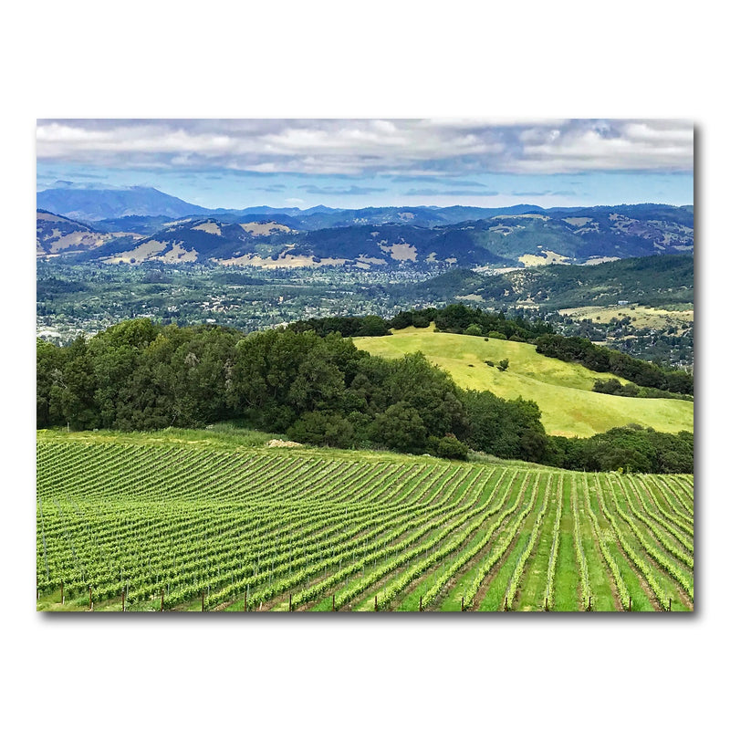 AUTO-MOCKUP WHITE | Rolling hills and vineyards of Sonoma County | 1 Piece | Gallery Wrap Canvas | group=4x3